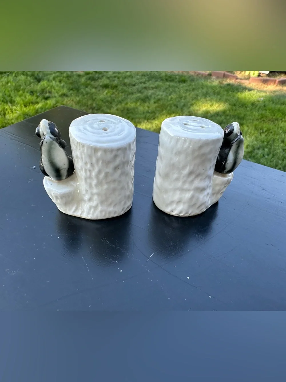 Adorable Vintage Skunk On Tree Salt & Pepper Shakers GS1D23